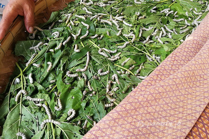บุรีรัมย์ - วัดคาทอลิก - หมู่บ้านท่องเที่ยวไหม สนวนนอก