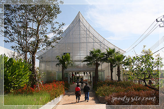 บุรีรัมย์ 5 เพลาเพลิน อุทยานไม้ดอก