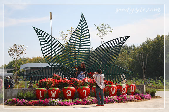 บุรีรัมย์ 4 เพลาเพลิน