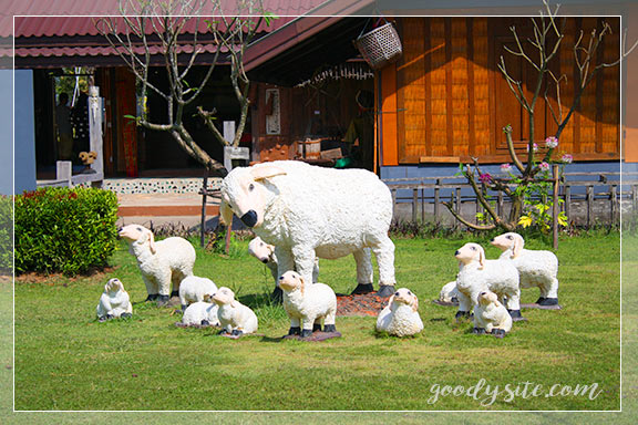 บุรีรัมย์ 4 เพลาเพลิน