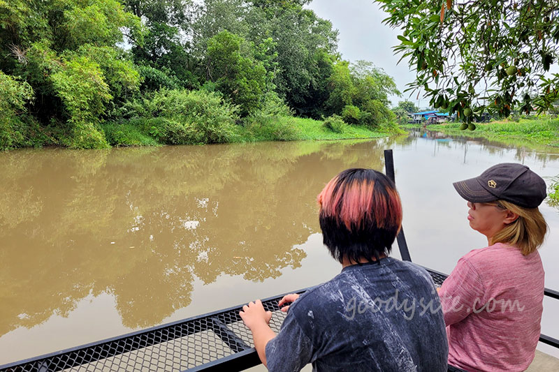 รังสิต 2 บ้านย่ากาแฟ