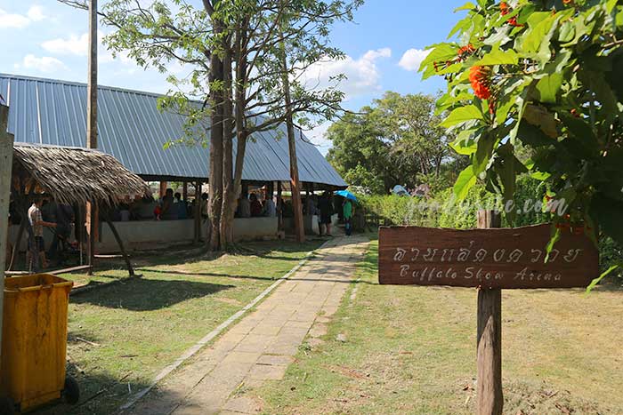 สุพรรณบุรี 2 บ้านอนุรักษ์ควายไทย