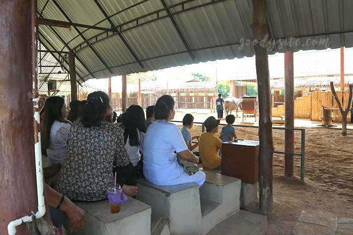 สุพรรณบุรี 2 บ้านอนุรักษ์ควายไทย