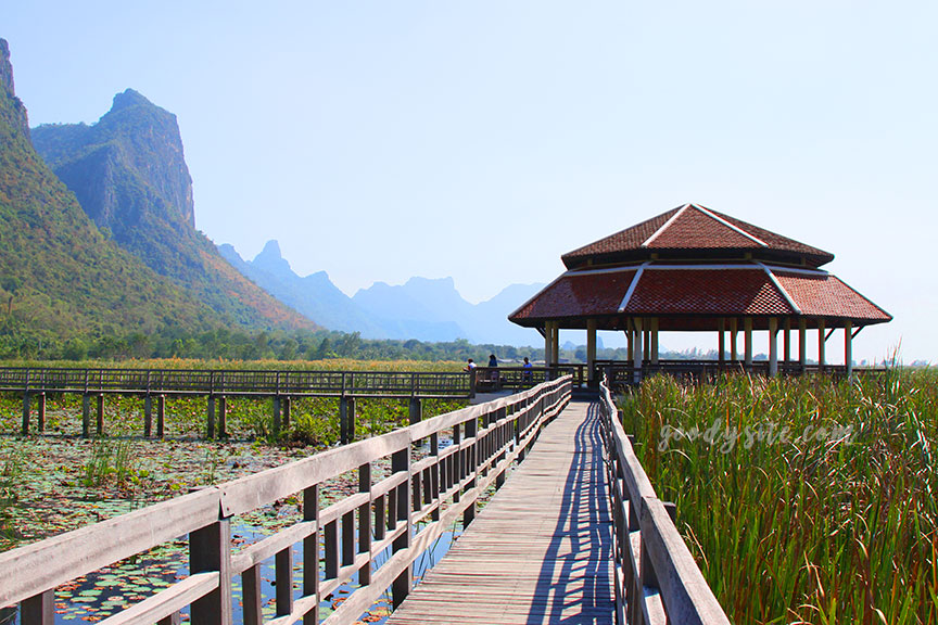 ศูนย์ศึกษาธรรมชาติ (บึงบัว) อุทยานแห่งชาติเขาสามร้อยยอด