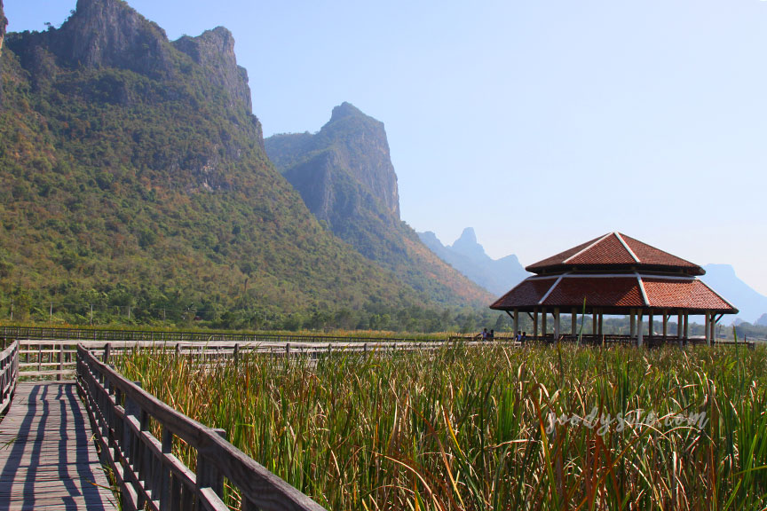 ศูนย์ศึกษาธรรมชาติ (บึงบัว) อุทยานแห่งชาติเขาสามร้อยยอด
