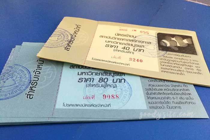 ศรีราชา 1 พิพิธภัณฑ์สัตว์น้ำ บางแสน
