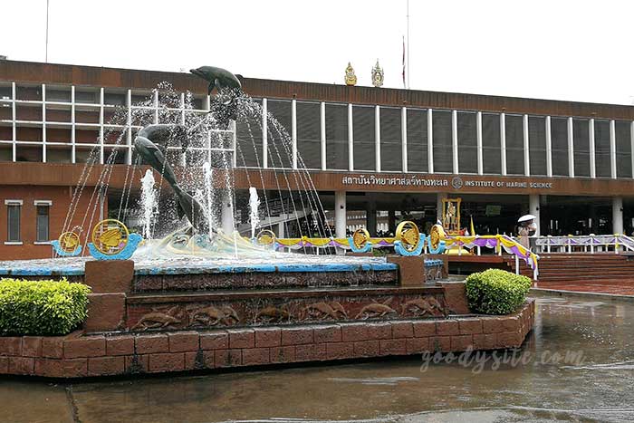 ศรีราชา 1 พิพิธภัณฑ์สัตว์น้ำ บางแสน