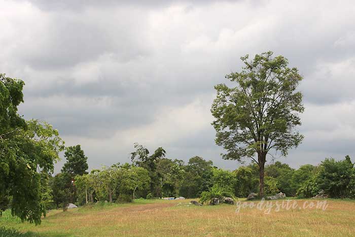 ฟาร์มโคนม สระบุรี 2 ฟาร์มโคนม