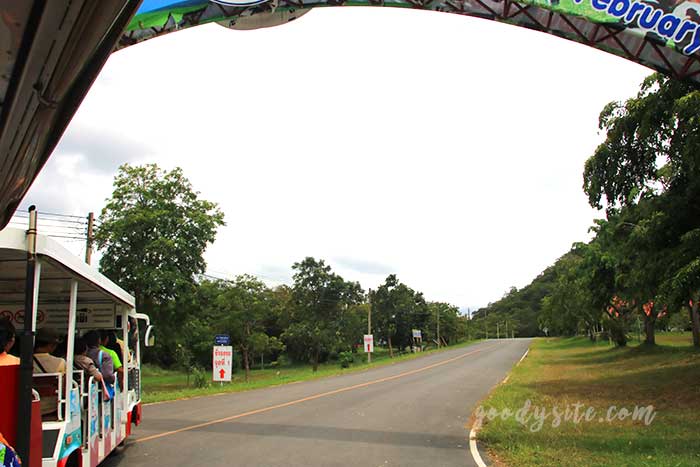 ฟาร์มโคนม สระบุรี 2 ฟาร์มโคนม