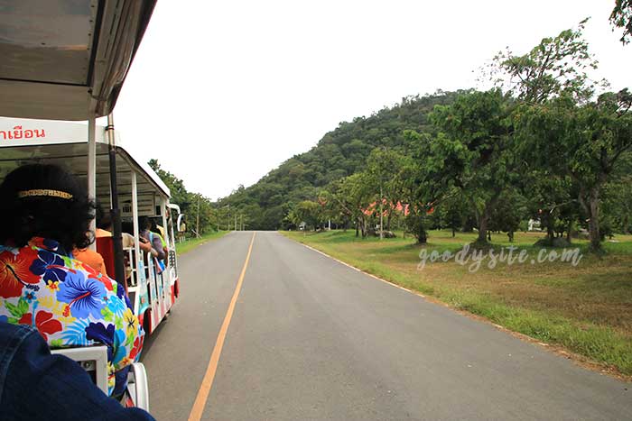 ฟาร์มโคนม สระบุรี 2 ฟาร์มโคนม