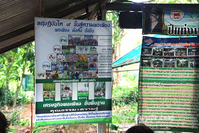 ฟาร์มโคนม สระบุรี 2 ฟาร์มโคนม