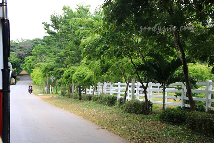 ฟาร์มโคนม สระบุรี 2 ฟาร์มโคนม