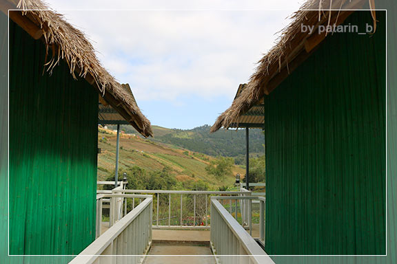 ภูลมโล 2 - ภูลมโล-ที่พัก-ร่องกล้ากรีนวิว