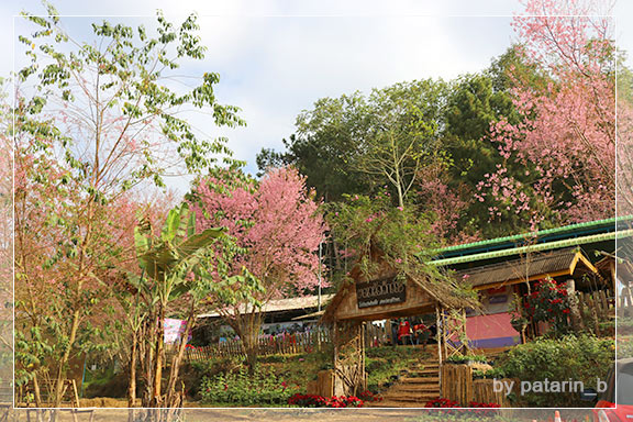 ภูลมโล 2 - ภูลมโล-ที่พัก-ร่องกล้ากรีนวิว