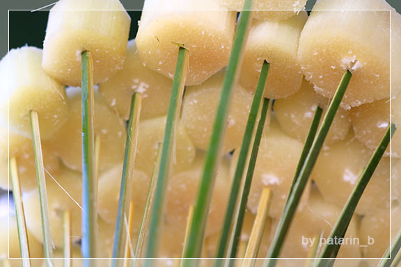 ภูลมโล 2 - ภูลมโล-ที่พัก-ร่องกล้ากรีนวิว