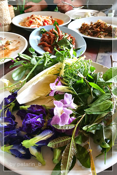 ภูลมโล 13 - ครัวติดอู่ จังหวัดอุทัยธานี