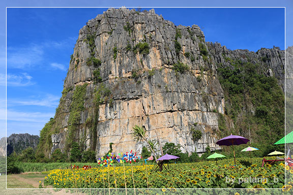 ภูลมโล 7 - บ้านไร่ภูตะวัน