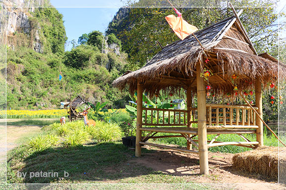 ภูลมโล 7 - บ้านไร่ภูตะวัน