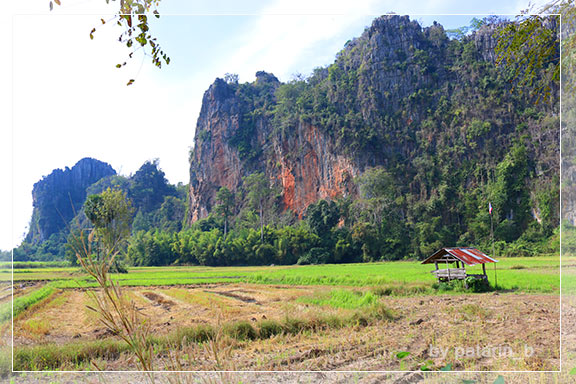 ภูลมโล 7 - บ้านไร่ภูตะวัน