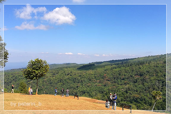 ภูลมโล 5 - ภูหินร่องกล้า