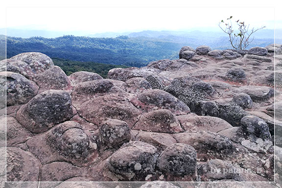 ภูลมโล 5 - ภูหินร่องกล้า