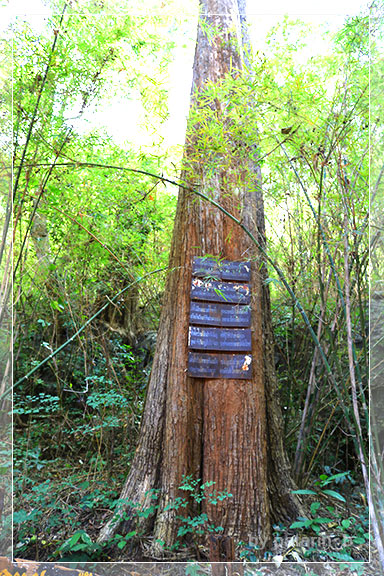 ภูลมโล 12 - ถ้ำพุหวาย วนอุทยานถ้ำเขาวง จ. อุทัยธานี