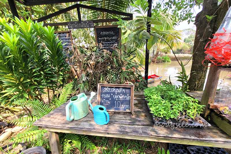 มองเทรอส์ คาเฟ่ แอนด์ ฟาร์ม (Montreux Cafe & Farm) อีกสักครั้ง