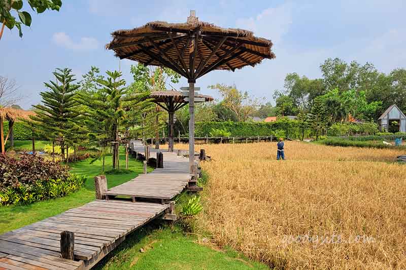 มองเทรอส์ คาเฟ่ แอนด์ ฟาร์ม (Montreux Cafe & Farm) อีกสักครั้ง
