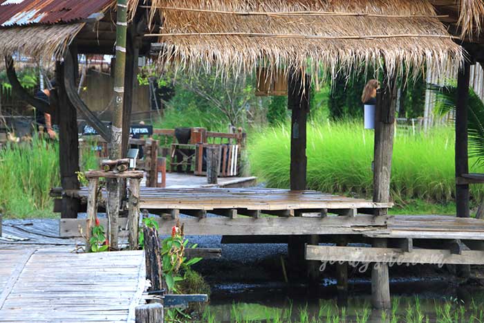 ฟาร์มโคนม สระบุรี 5 มองเทรอส์คาเฟ่ แอนด์ ฟาร์ม