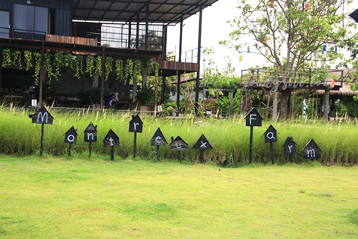 ฟาร์มโคนม สระบุรี 5 มองเทรอส์คาเฟ่ แอนด์ ฟาร์ม