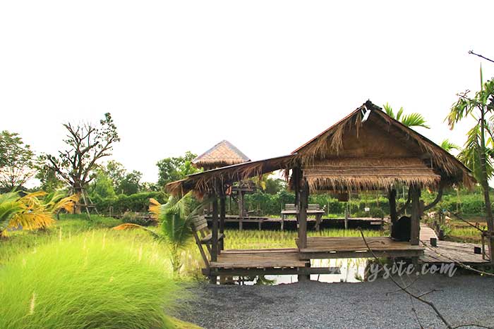 ฟาร์มโคนม สระบุรี 5 มองเทรอส์คาเฟ่ แอนด์ ฟาร์ม