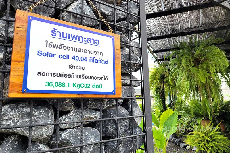 ร้านเพกะลาว ลำลูกกา