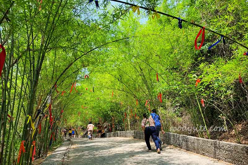 วัดเขาตะแบก จังหวัดชลบุรี วิวสวย มีสกายวอล์ก