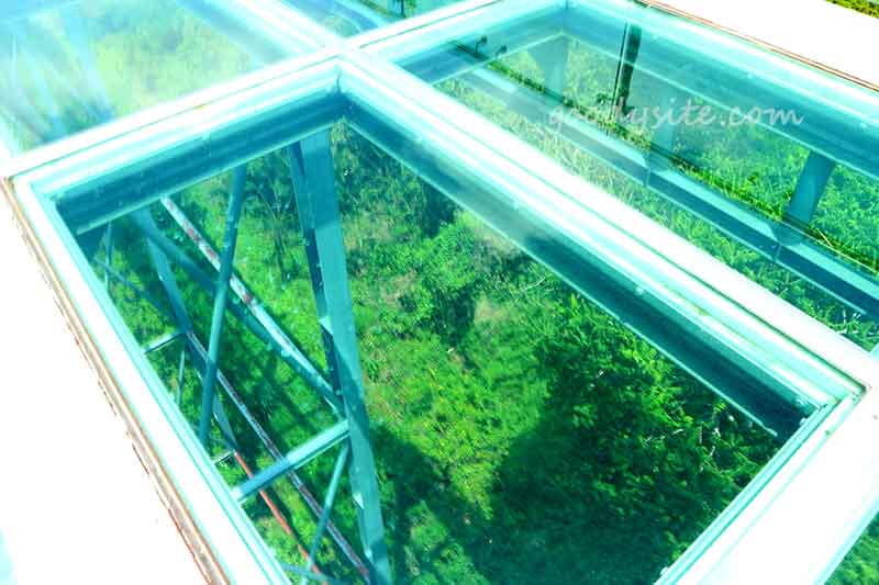วัดเขาตะแบก จังหวัดชลบุรี วิวสวย มีสกายวอล์ก