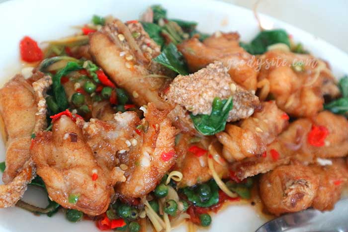 สมุทรสาคร 1 ร้านอาหารกินกับก้อย