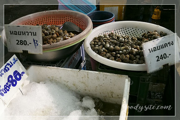 อยุธยา 6 สวนอาหารริมน้ำ ตลาดกลาง อยุธยา