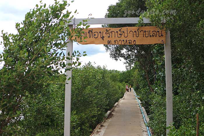 สมุทรสาคร 2 สะพานไม้สายรุ้ง กาหลง