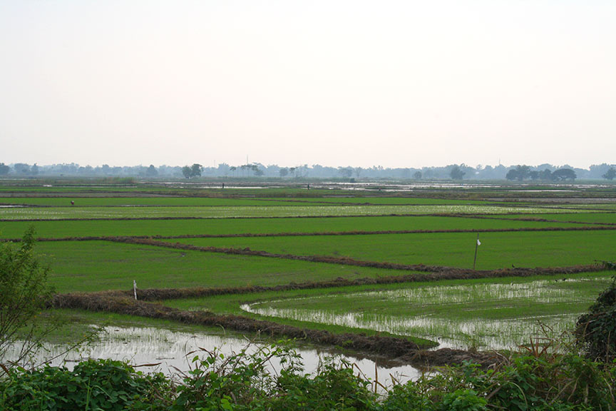 สุโขทัย 8 วัดหนองโว้ง สุโขทัย