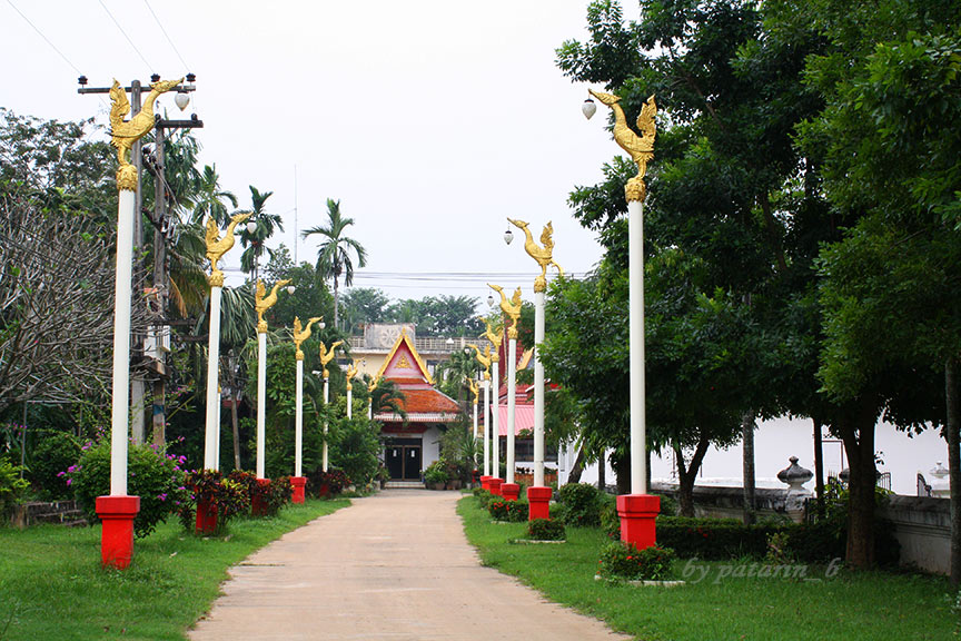 สุโขทัย 8 วัดหนองโว้ง สุโขทัย