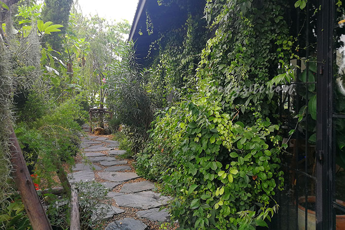 ร้าน หมอก คาเฟ่ แขวงรามอินทรา
