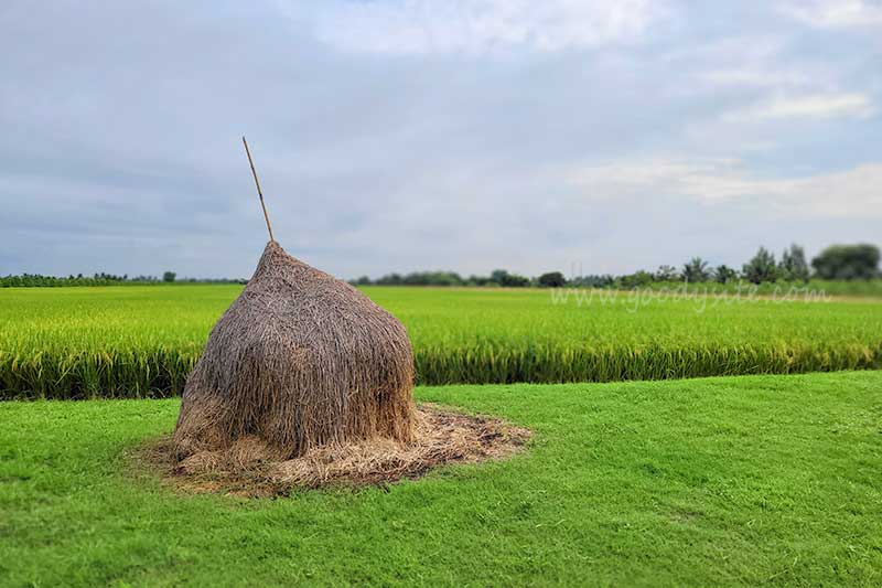 หาดทรายแก้ว สัตหีบ