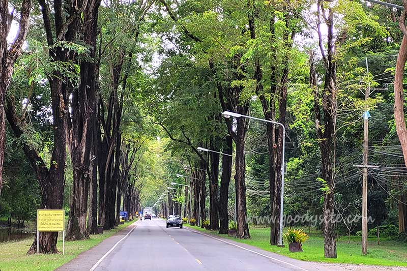 หาดทรายแก้ว สัตหีบ