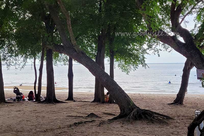 หาดทรายแก้ว สัตหีบ