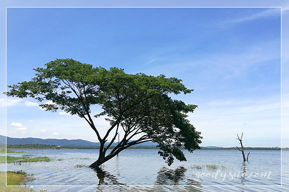ชลบุรี 1 - อ่างเก็บน้ำบางพระ