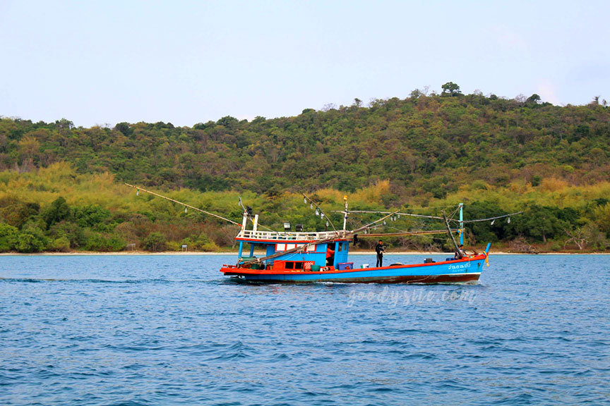 พัทยา-เกาะไผ่ 3: เกาะไผ่