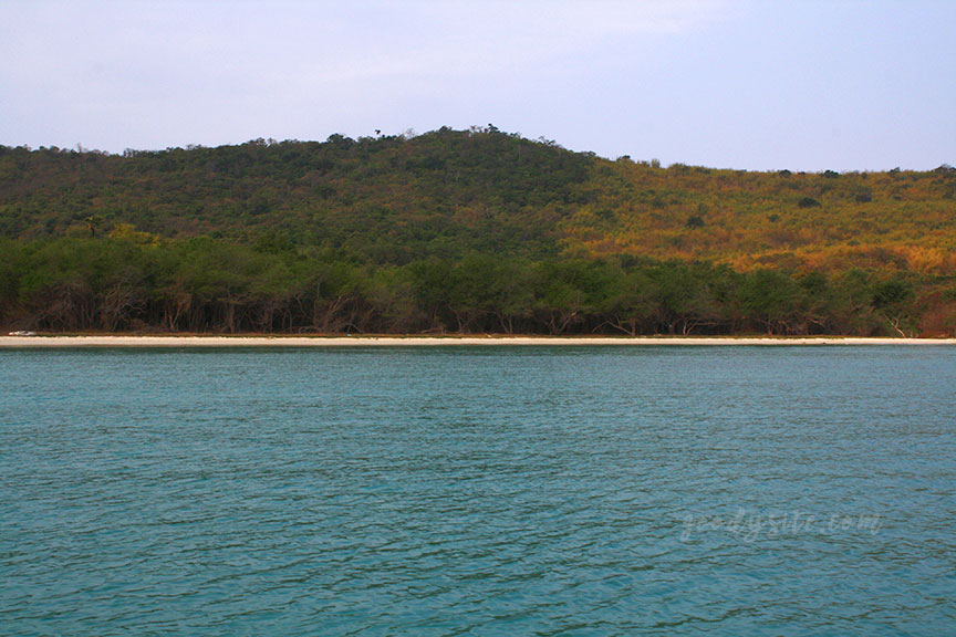 พัทยา-เกาะไผ่ 3: เกาะไผ่