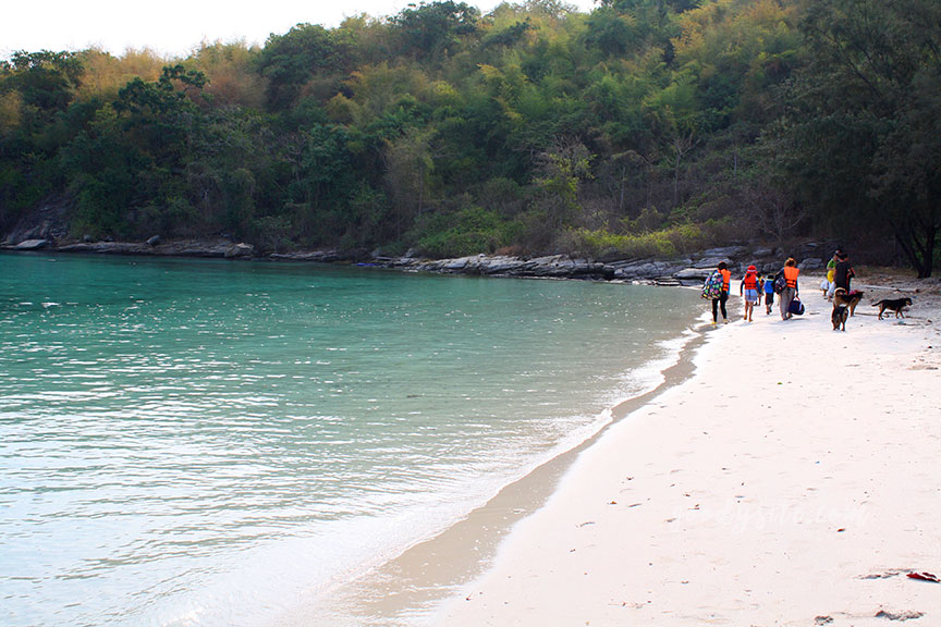 พัทยา-เกาะไผ่ 3: เกาะไผ่