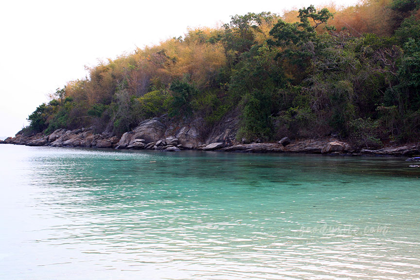 พัทยา-เกาะไผ่ 3: เกาะไผ่