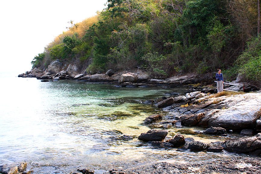 พัทยา-เกาะไผ่ 3: เกาะไผ่
