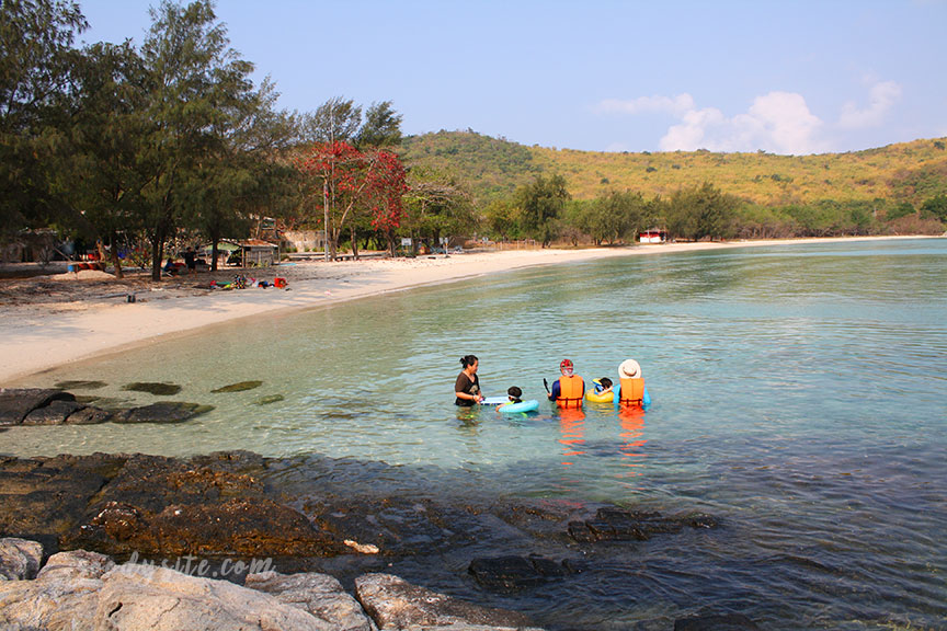 พัทยา-เกาะไผ่ 3: เกาะไผ่